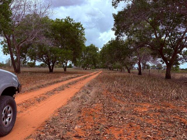 #2 - Granja  Finca para Venta en El Tigre - B