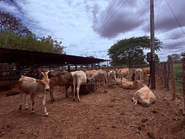 #2 - Granja  Finca para Venta en El Tigre - B