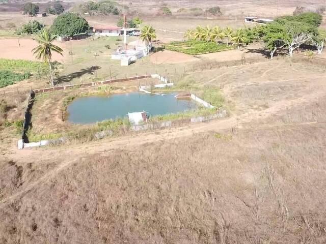#3 - Granja  Finca para Venta en El Tigre - B - 3