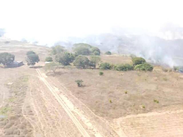 #3 - Granja  Finca para Venta en El Tigre - B - 2