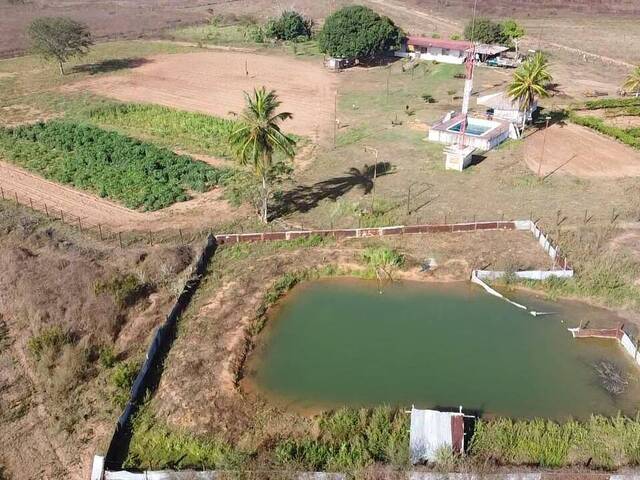 #3 - Granja  Finca para Venta en El Tigre - B - 1