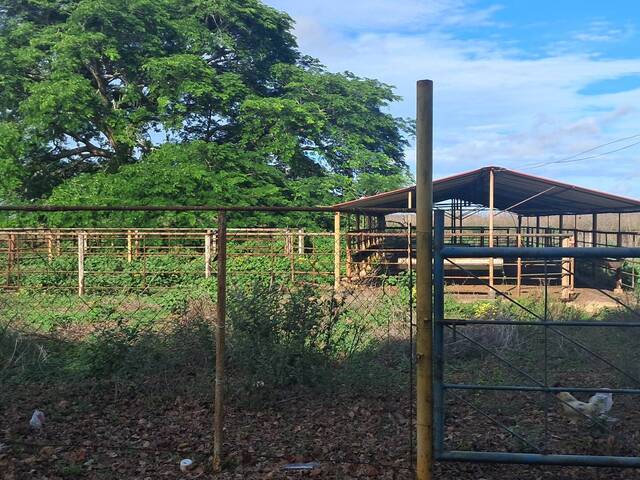 #10 - Quinta para Venta en El Tigre - B