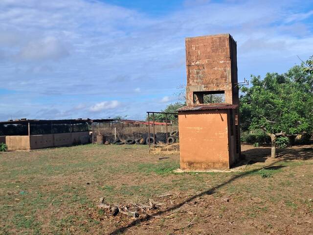 #10 - Quinta para Venta en El Tigre - B