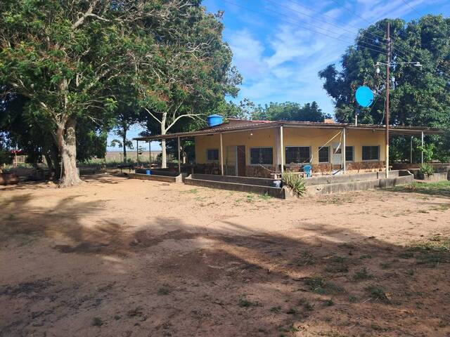 #10 - Quinta para Venta en El Tigre - B
