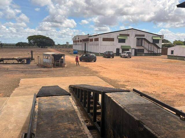 #13 - Empresa para Venta en El Tigre - B - 1