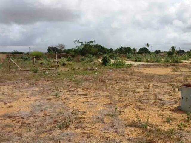 #18 - Área para Venta en El Tigre - B - 2