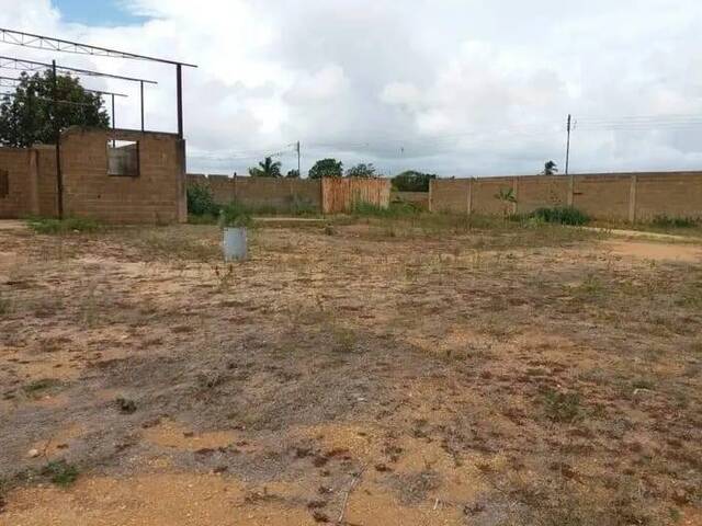 #18 - Área para Venta en El Tigre - B