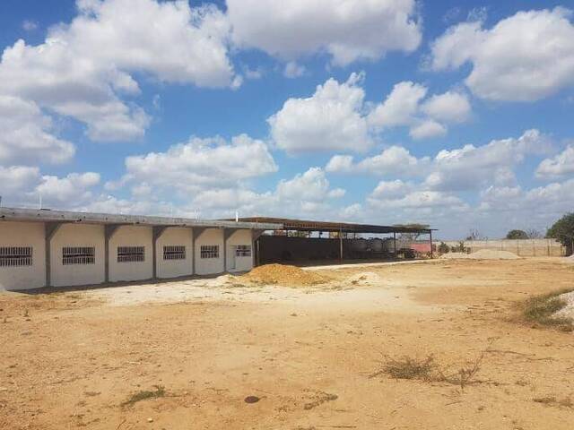 #30 - Área para Venta en El Tigre - B