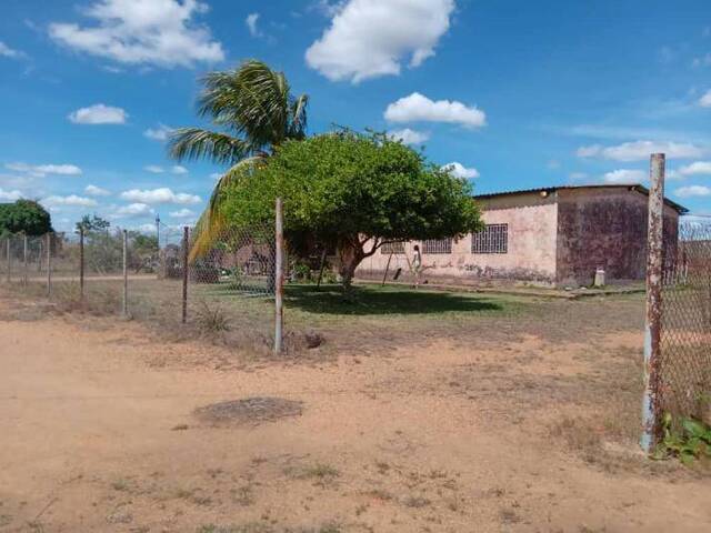 #36 - Granja  Finca para Venta en El Tigre - B - 2