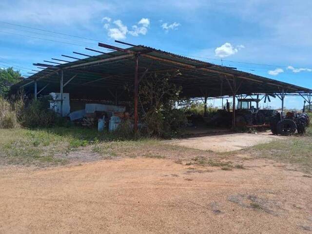 #36 - Granja  Finca para Venta en El Tigre - B - 3