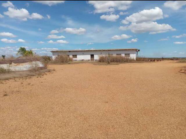 #36 - Granja  Finca para Venta en El Tigre - B - 1