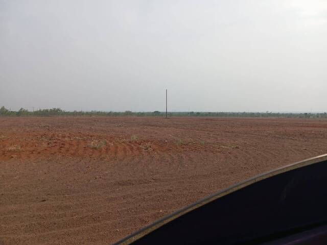 #48 - Granja  Finca para Venta en El Tigre - B