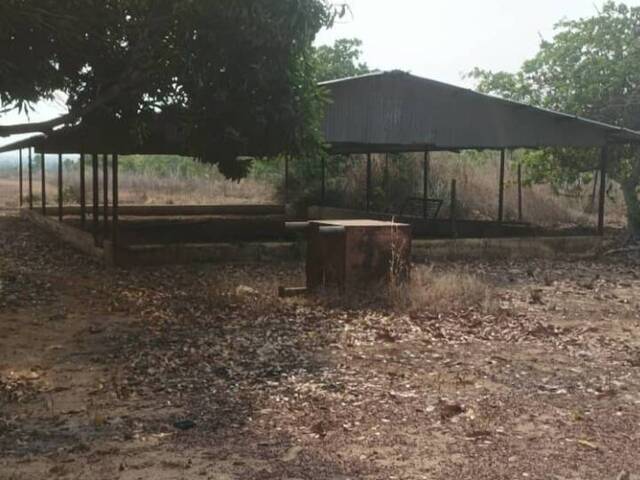 #48 - Granja  Finca para Venta en El Tigre - B