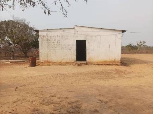 #48 - Granja  Finca para Venta en El Tigre - B