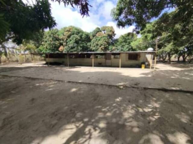 #57 - Quinta para Venta en El Tigre - B