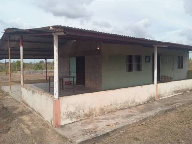 #58 - Granja  Finca para Venta en El Tigre - B