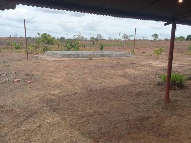 #58 - Granja  Finca para Venta en El Tigre - B