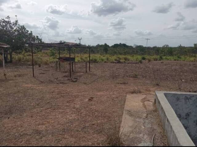 #58 - Granja  Finca para Venta en El Tigre - B